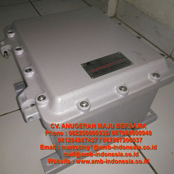 Panel Box Explosion Proof Zone 1 Class 1 Div 1 Warom BXT Series
